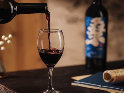 星致桑葚酒纯果酒女士桑葚干红原浆