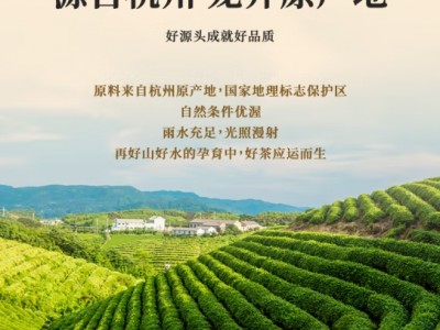 第一江南绿茶龙井200g2024年新茶明