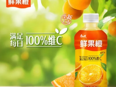 康师傅绿茶 茉莉蜜茶 热带风味 冰红