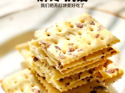 怪力食厂 黑麦海盐苏打饼干咸味梳打