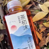 片断 片断茶初沫白茶龙井茶茉莉花茶无糖0卡无防腐剂520ml*15瓶整箱 片断茶初沫 混合口味520ml*15瓶