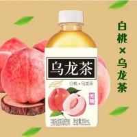 【白桃乌龙茶】茶香饮品风味饮料350ml/瓶香甜果味饮品一整箱 1瓶装（试尝款）
