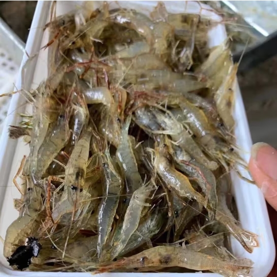 微信截图_20250424172005