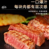 天莱香牛【冰鲜牛肉】国产安格斯菲力西冷上脑眼肉牛排 新疆牛肉 生鲜鲜肉 【冰鲜】安格斯菲力450g