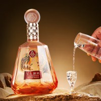 五粮液股份 百鸟朝凤红钻 浓香型白酒礼盒 52度500ml*2瓶礼盒装 宴请酒