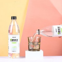 特种印象电解质水 整箱装600ml*24大瓶装 0糖0卡海盐味无糖 运动功能饮料 新货24瓶