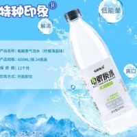 特种印象电解质水 整箱装600ml*24大瓶装 0糖0卡海盐味无糖 运动功能饮料 新货24瓶