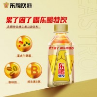 东鹏特饮 东鹏特饮维生素功能饮料500ml*24/15瓶 整箱运动饮料规格可选 东鹏特饮250ml*5瓶