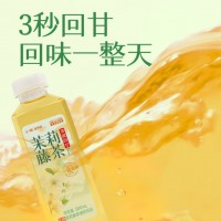 小稀无糖轻养茶0糖0脂0能量龙须藤茶茉莉桂花植物饮料解腻现沏茶500ml 【尝新推荐】龙须藤茶6瓶