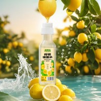 甄果摇【第二件0元】柠檬蜂蜜水368g*12瓶分离式瓶盖夏季健康解酒饮料 【拍2件，第二件0元！】368g12瓶