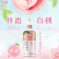 天源雪苏打水白桃青提味无糖饮料 原味0糖0脂肪0卡 368ml/瓶整箱批发 368ml*5瓶【白桃味苏打水】