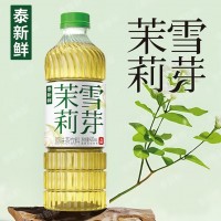 泰新鲜茉莉花茶无糖茶饮0糖0卡0脂420ml*6瓶纯茶秋季饮料真茶泡制清香 茉莉花茶 420ml*6瓶