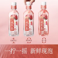 伊利伊刻活泉现泡茶玫瑰红茶饮料 0糖0卡455ml*15瓶/整箱